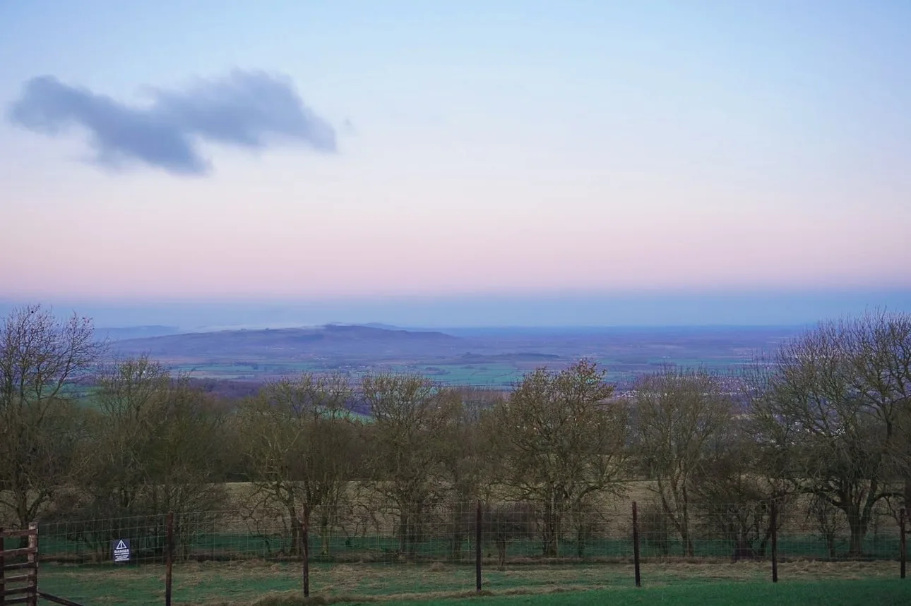 View of a serene countryside at dusk, with bare trees and gentle hills under a pastel pink and blue sky. A lone cloud floats above, creating a tranquil mood.