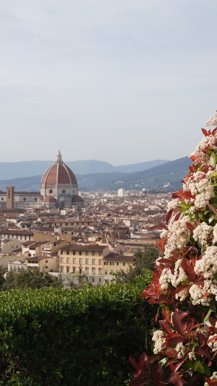 Overlooking the city of Florence Italy and seeing the large Duomo in the center of the city
