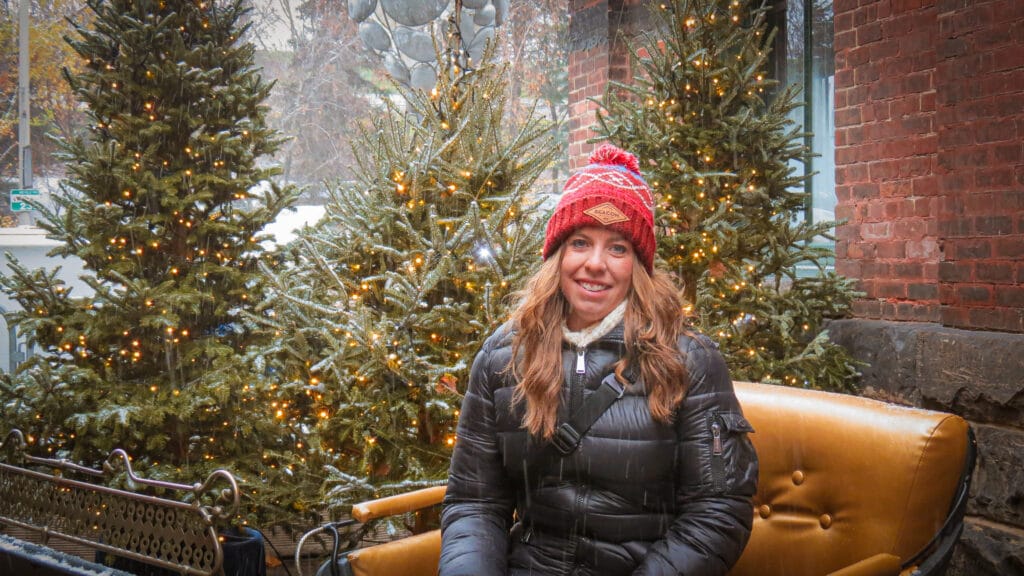 life of the traveling pin sitting on a sleigh at the distillery winter village in toronto canada