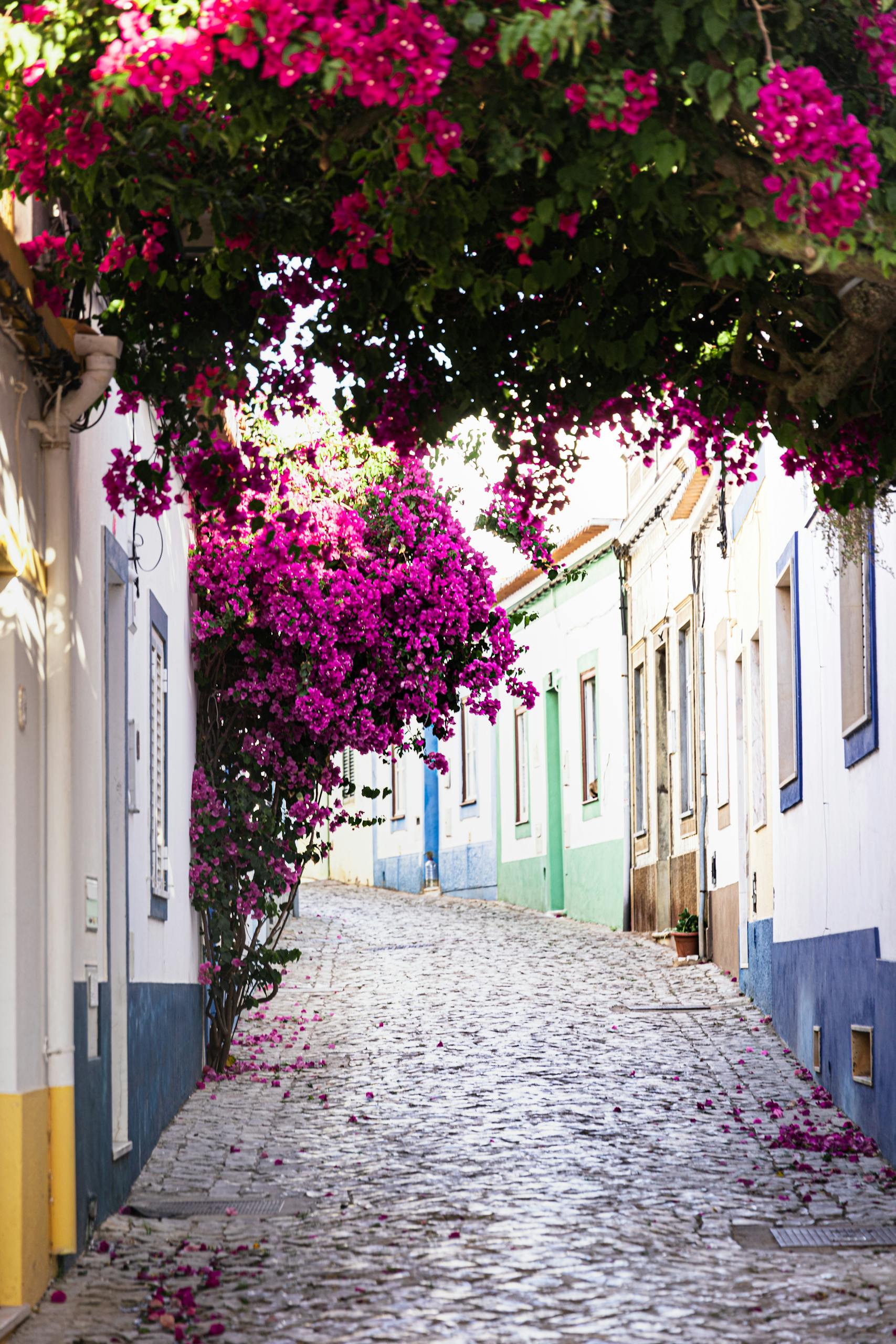 Colorful bougainvillea overhangs a quaint street in Ferragudo, Portugal.