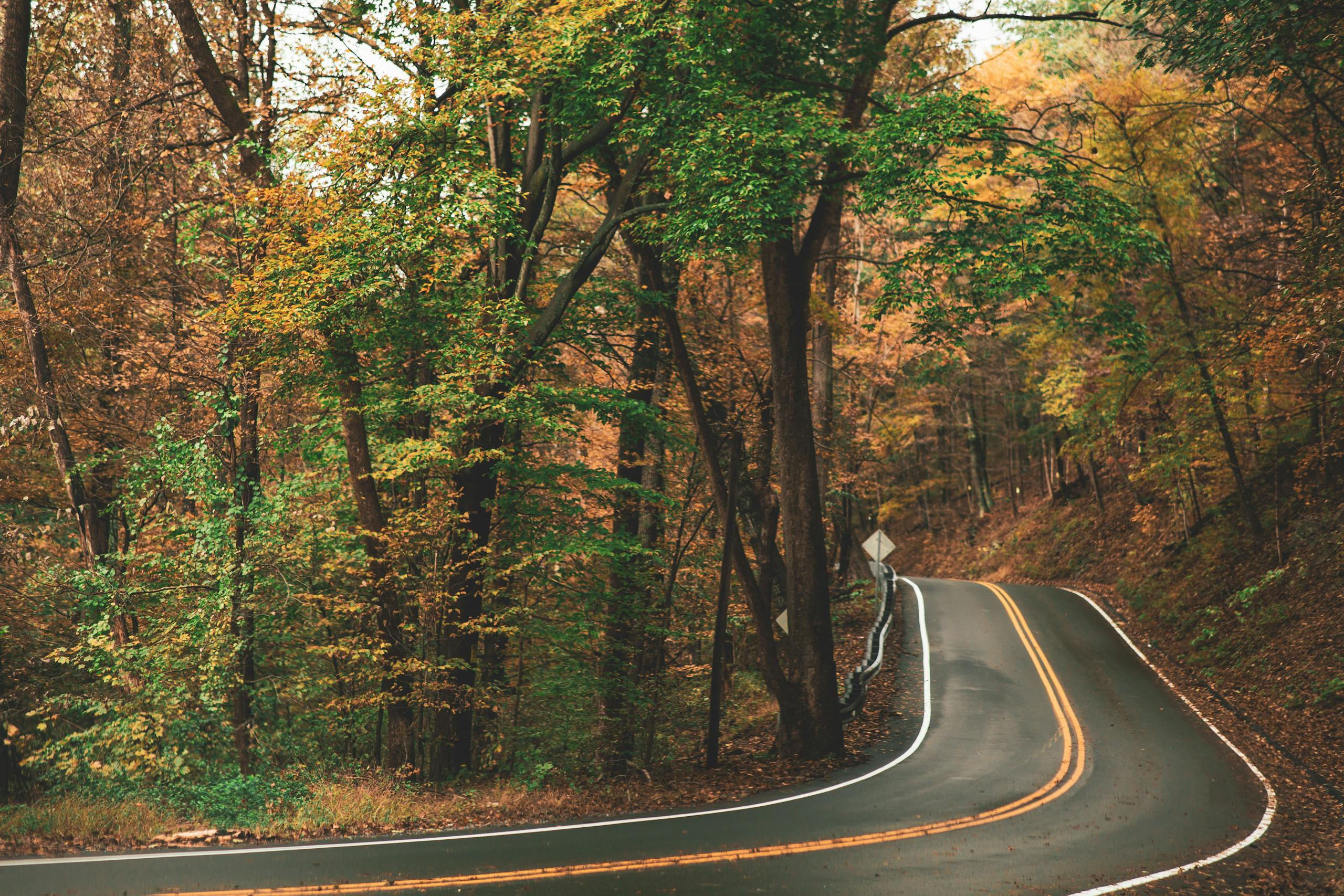 Explore a serene curvy road winding through autumn woods, rich with vibrant fall colors and foliage.