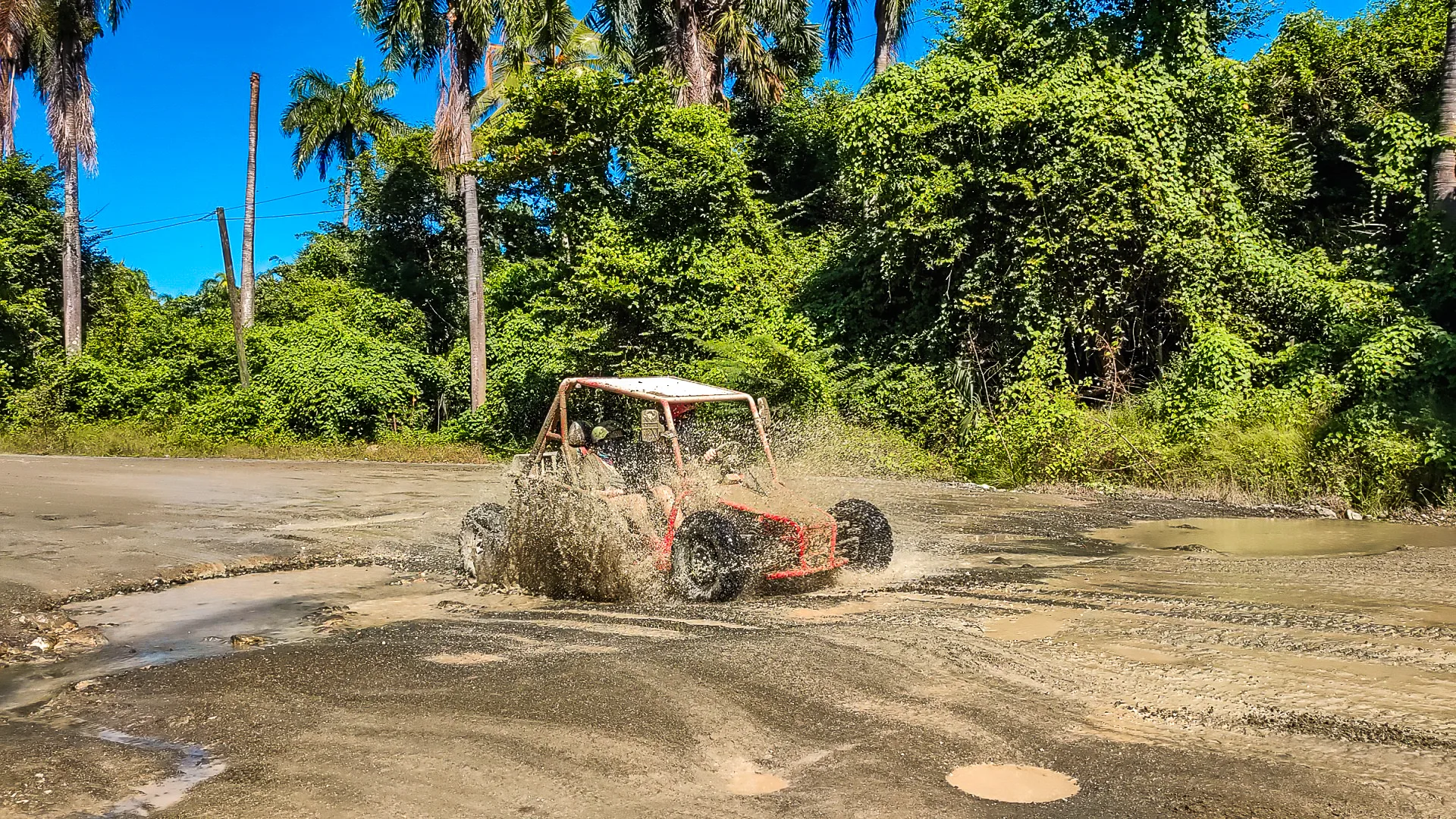 A red off-road buggy splashes through a muddy puddle on a dirt path, surrounded by lush green foliage and tall palm trees, under a clear blue sky.