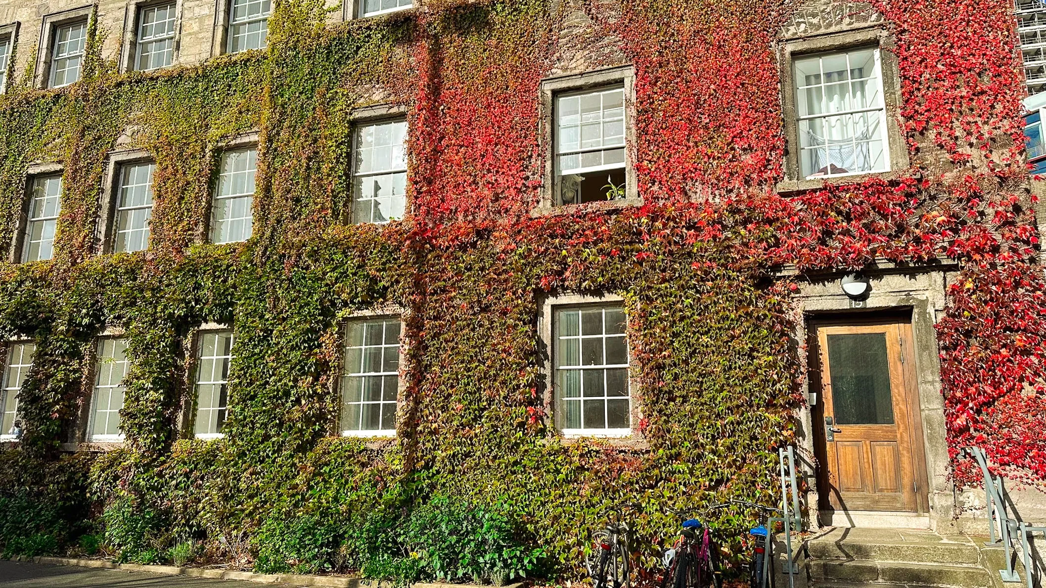Historic building facade covered in vibrant green and red ivy, with white-trimmed windows. A wooden door on the right and bicycles below add charm.