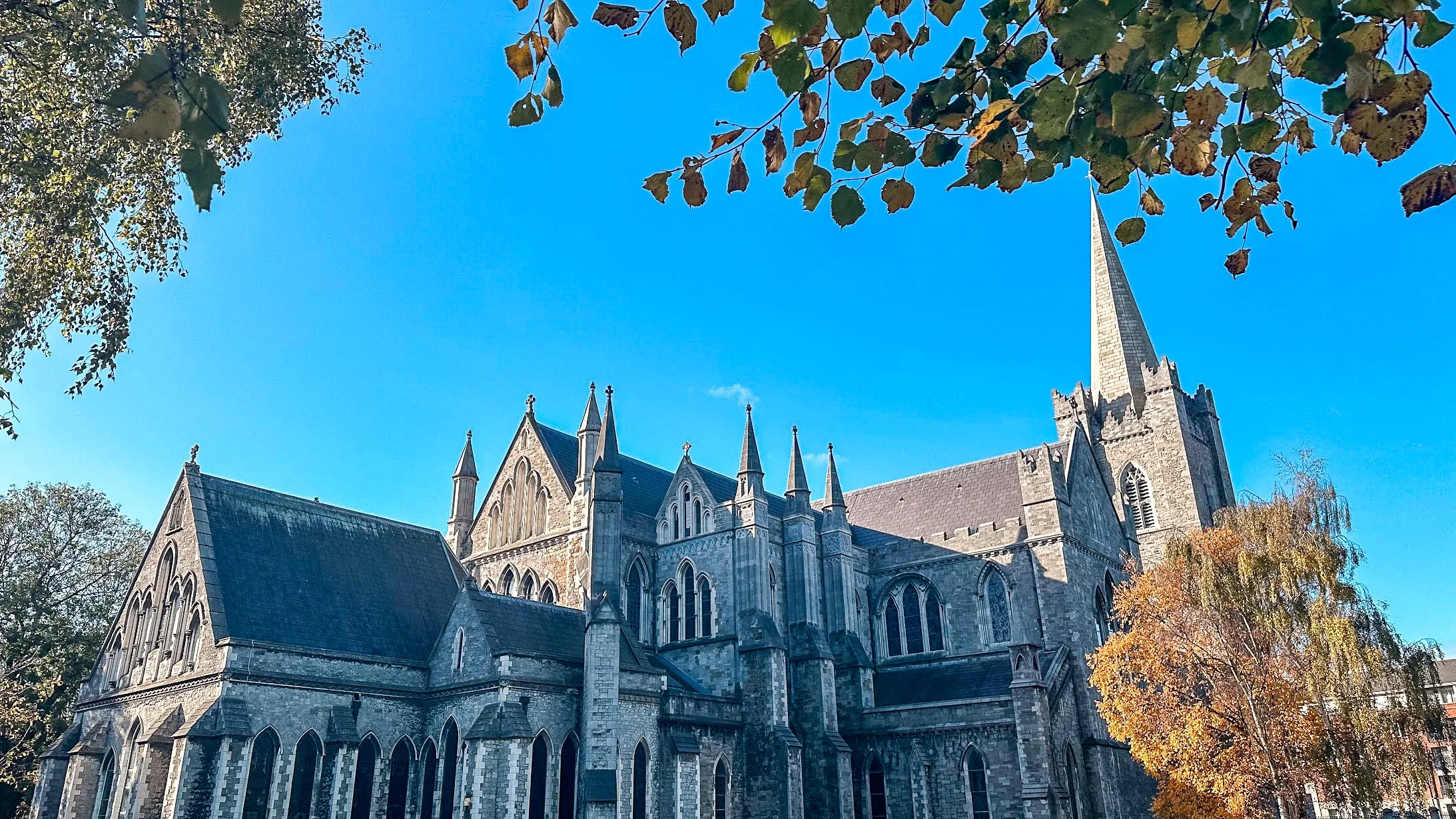 Gothic cathedral under clear blue sky, with intricate stone architecture and tall spire. Autumn leaves frame the scene, adding warmth and contrast.