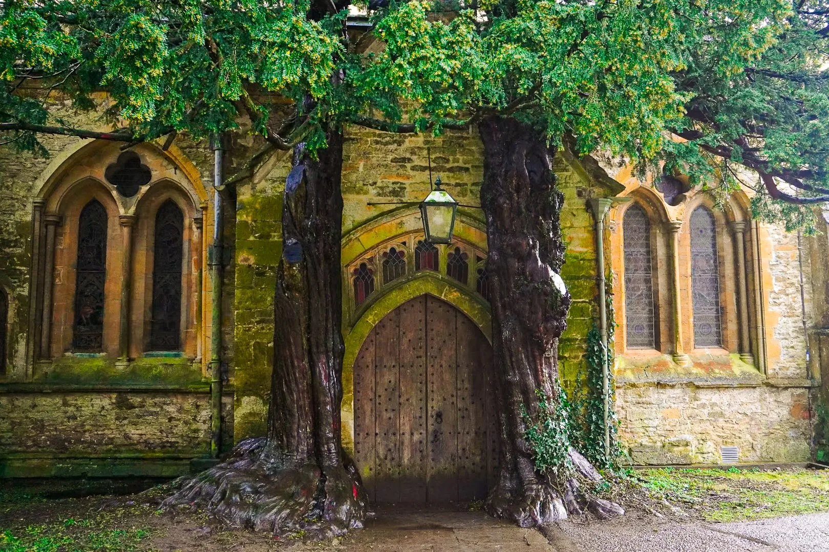 Ancient wooden church door in Stow on the Wold UK framed by two large, intertwined tree trunks. Flanked by stained glass windows, the scene feels mystical and serene.