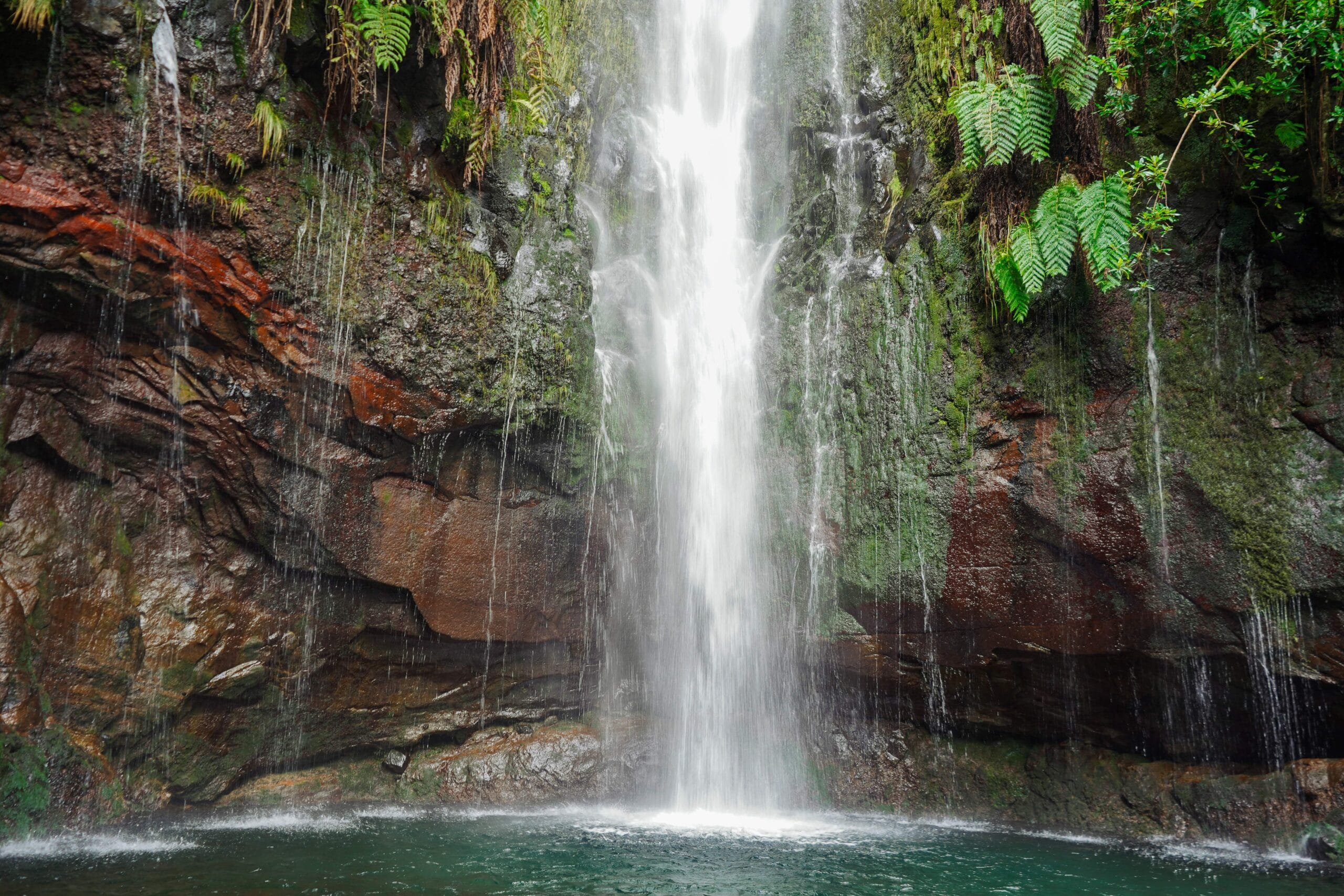 A serene waterfall cascades down moss-covered rocks into a clear pool. Lush green ferns surround the scene, creating a tranquil, natural oasis.