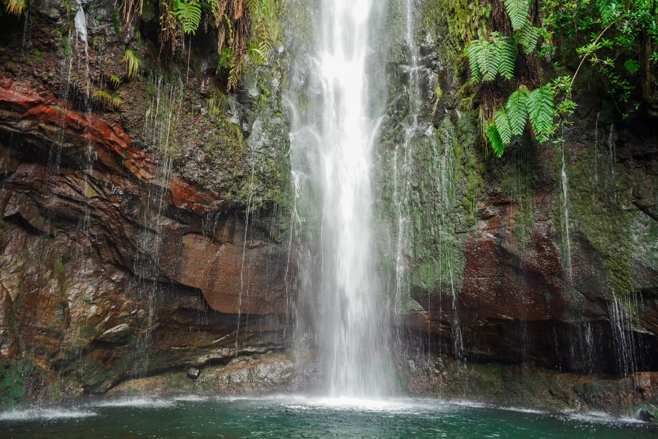A serene waterfall cascades down moss-covered rocks into a clear pool. Lush green ferns surround the scene, creating a tranquil, natural oasis.