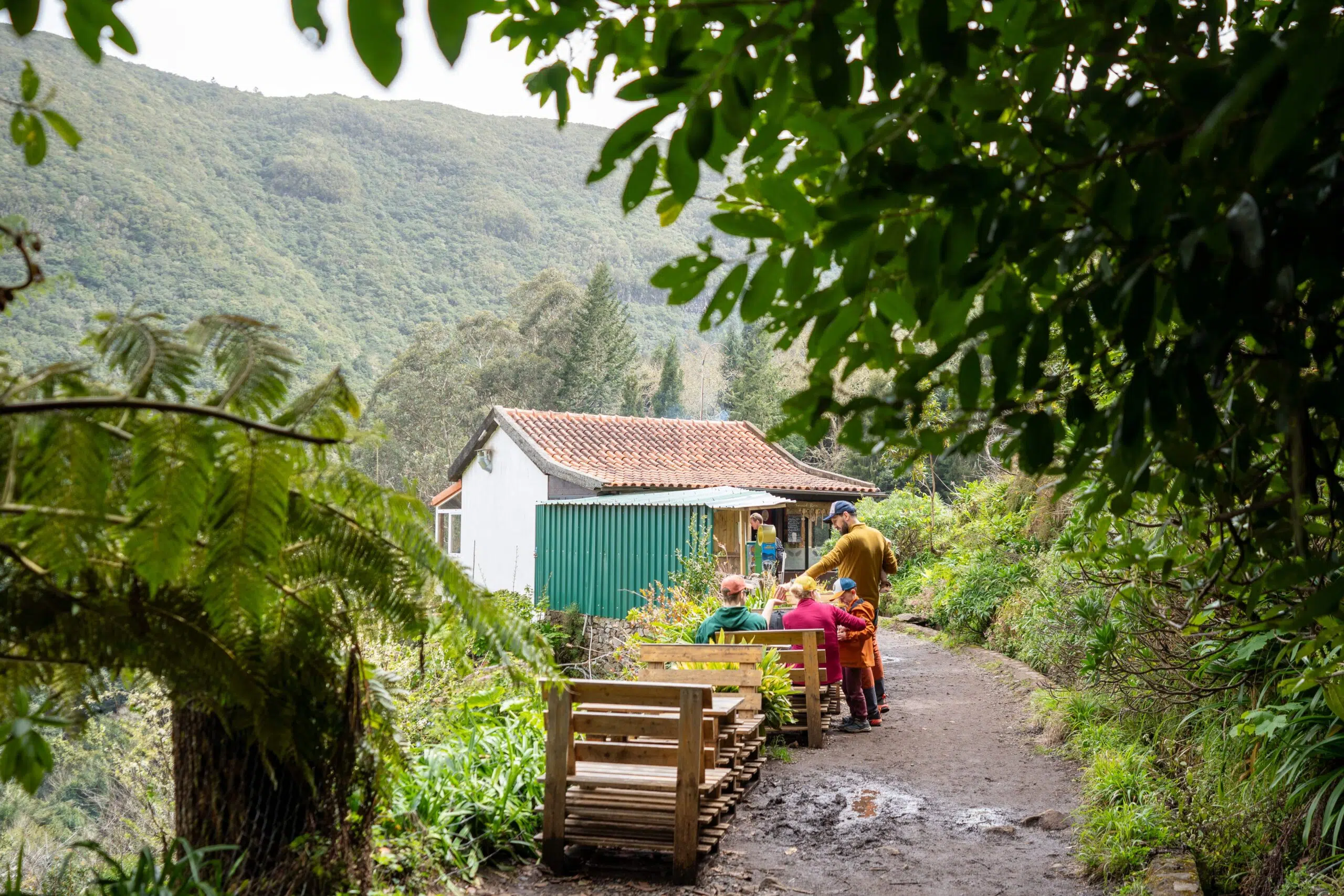 Day 3 of 10 days in Madeira Portugal sitting outside at a cafe surrounded by a forest during a levada hike
