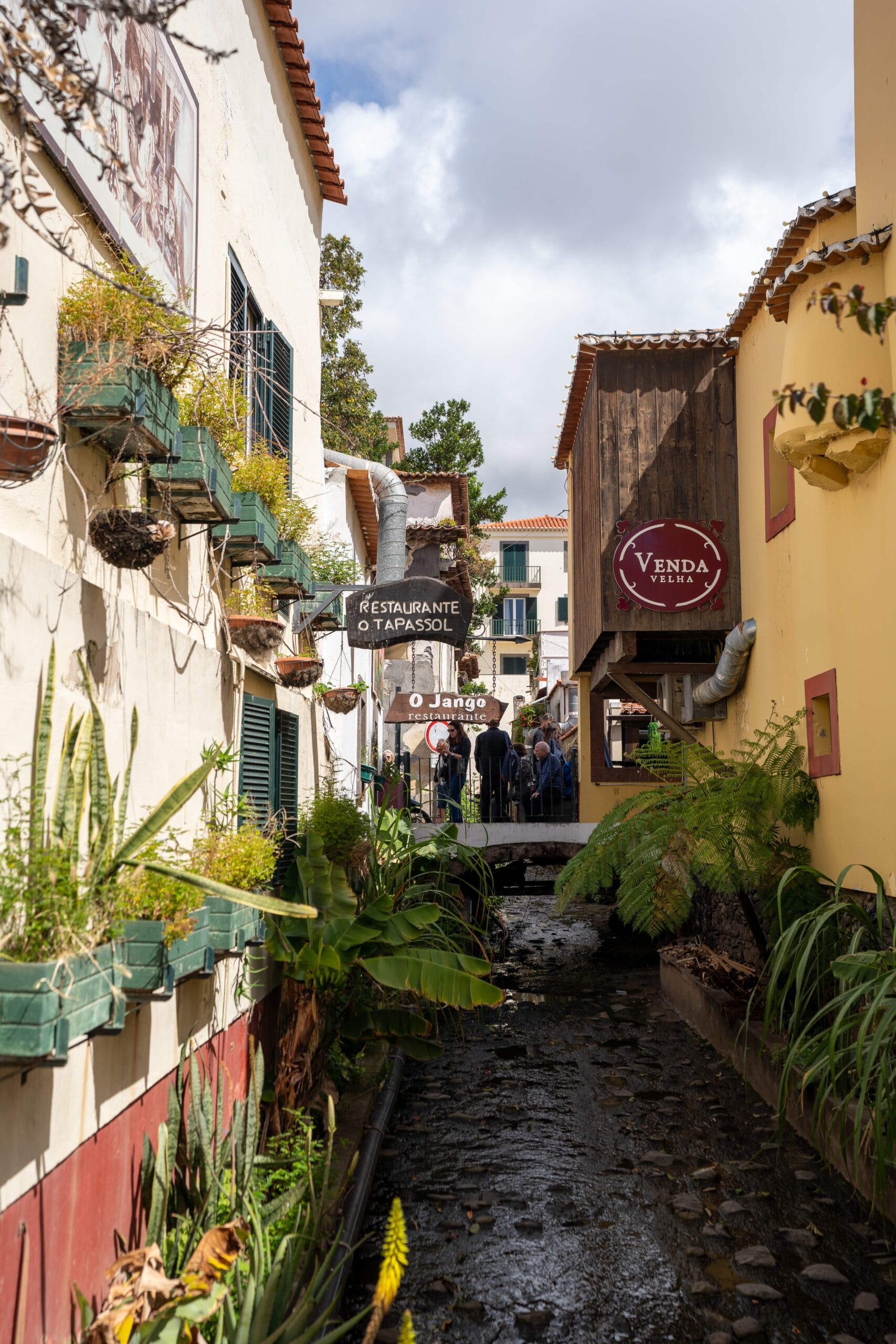 Narrow cobblestone street in a quaint village, with vibrant plants and restaurant signs. A small group of people gathers on a bridge ahead.
