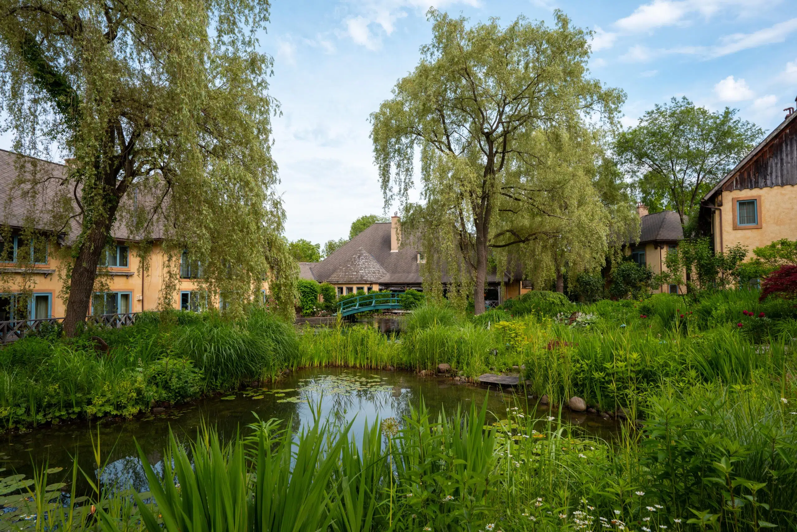 Lush garden scene with a serene pond surrounded by vibrant greenery. Willow trees gracefully hang over quaint cottages, creating a peaceful, idyllic setting.