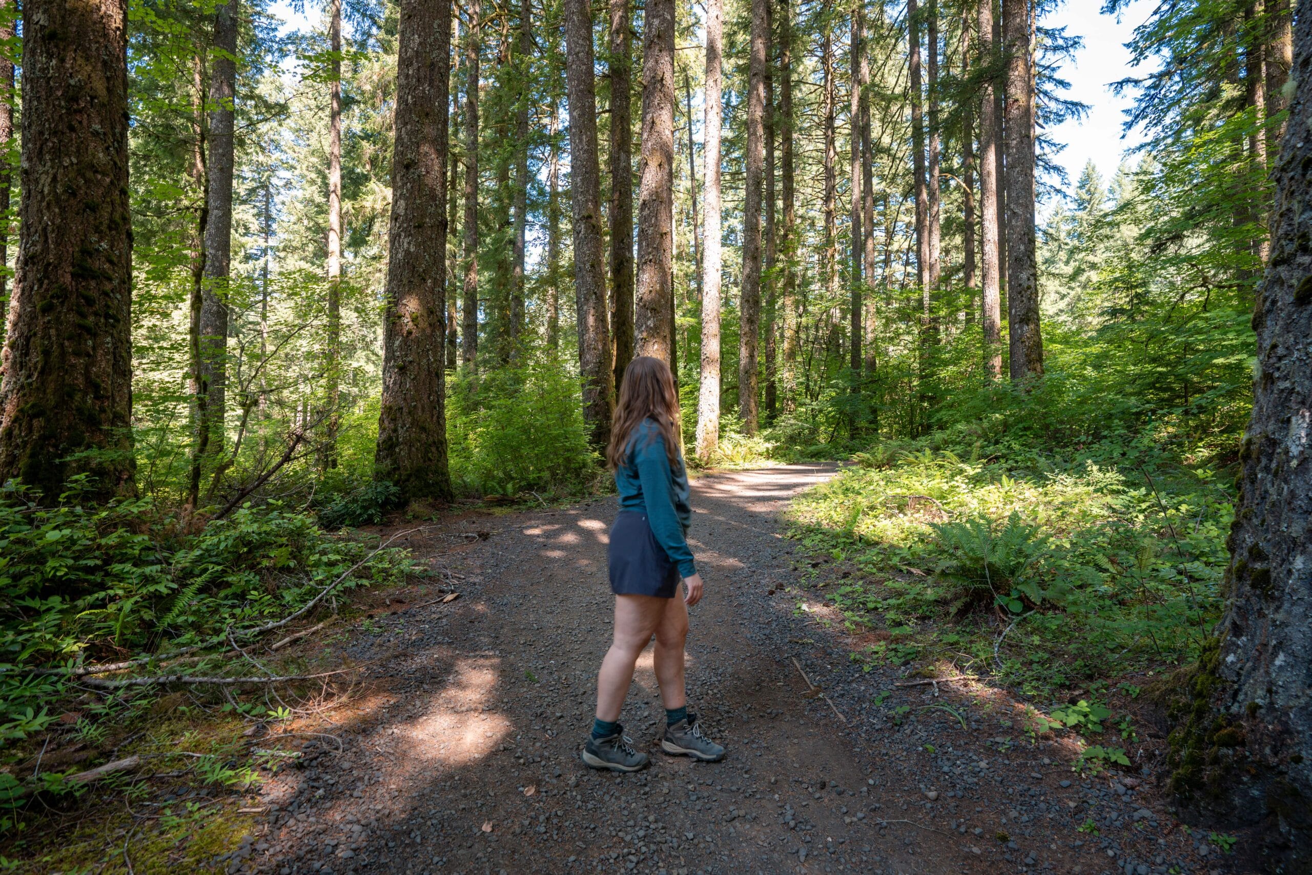 A woman in hiking attire stands on a wooded trail surrounded by tall trees and lush greenery. Sunlight filters through the canopy, creating a serene atmosphere.