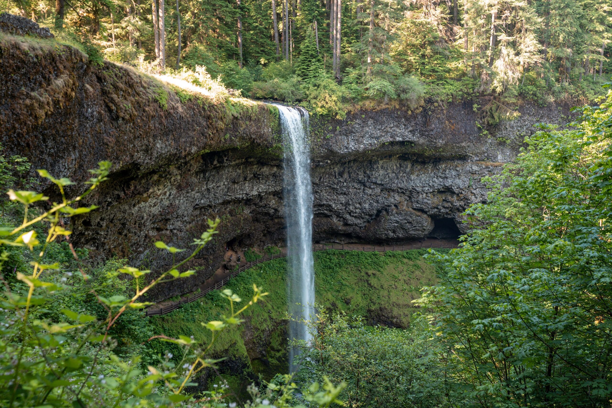 Waterfall cascading over a rocky cliff surrounded by lush green forest. Sunlight filters through the trees, casting a serene, natural scene.