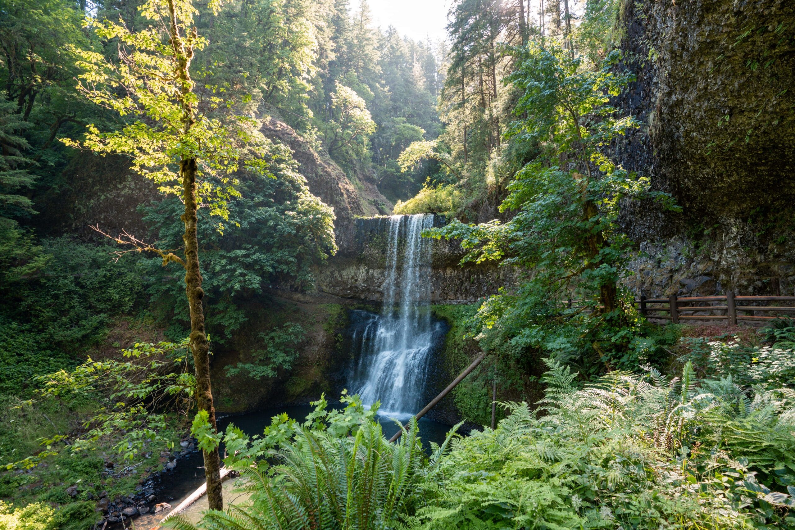 Waterfall cascades over a rocky ledge surrounded by lush green trees and ferns. Sunlight filters through the forest, creating a tranquil setting.