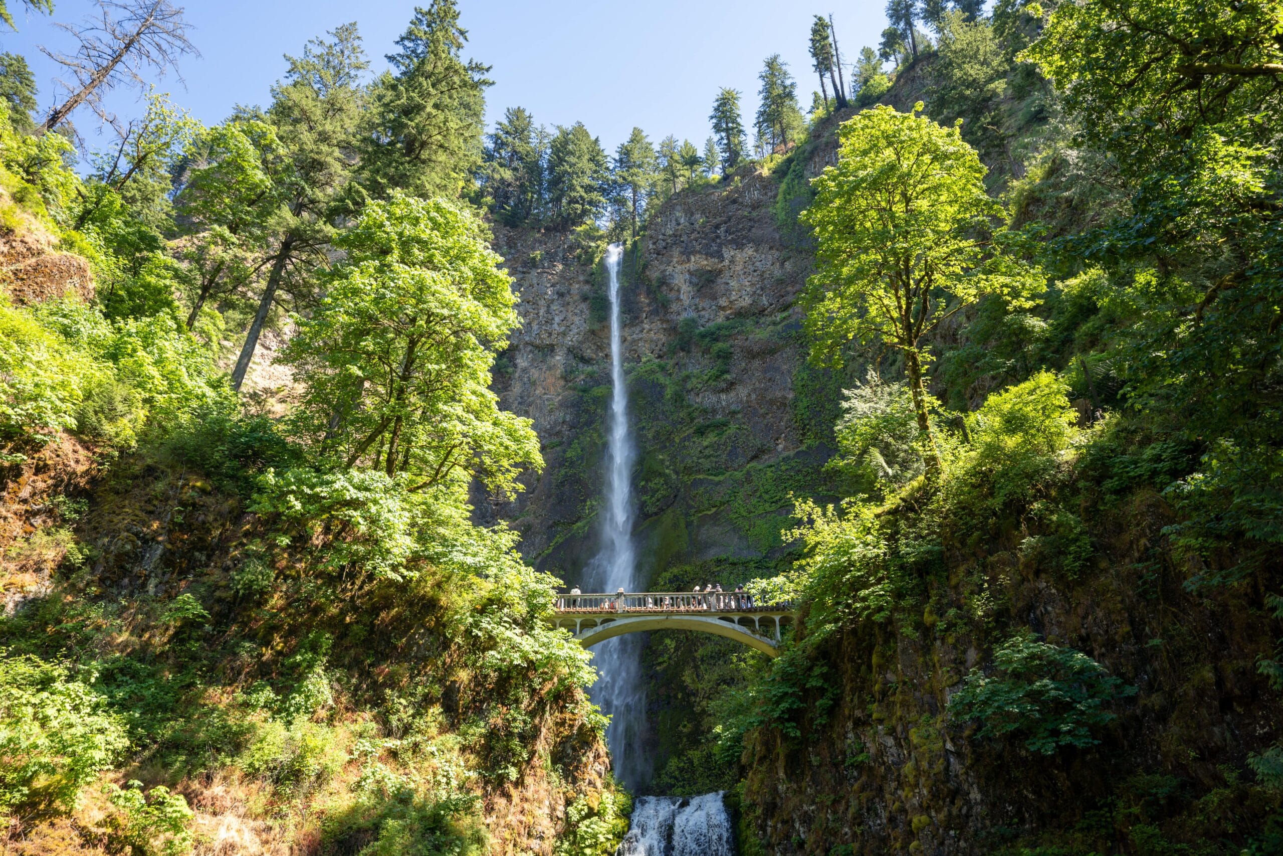 A towering waterfalls of Oregon cascading down a lush, forested cliff, with a bridge crossing midway. Visitors admire the view on a sunny day. Tranquil and majestic.