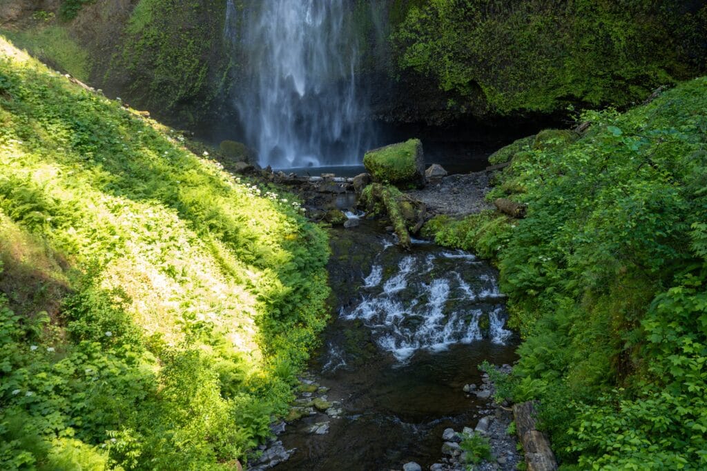 A serene waterfall cascades into a lush, green forest. Sunlight illuminates the vibrant foliage, creating a peaceful and refreshing atmosphere.