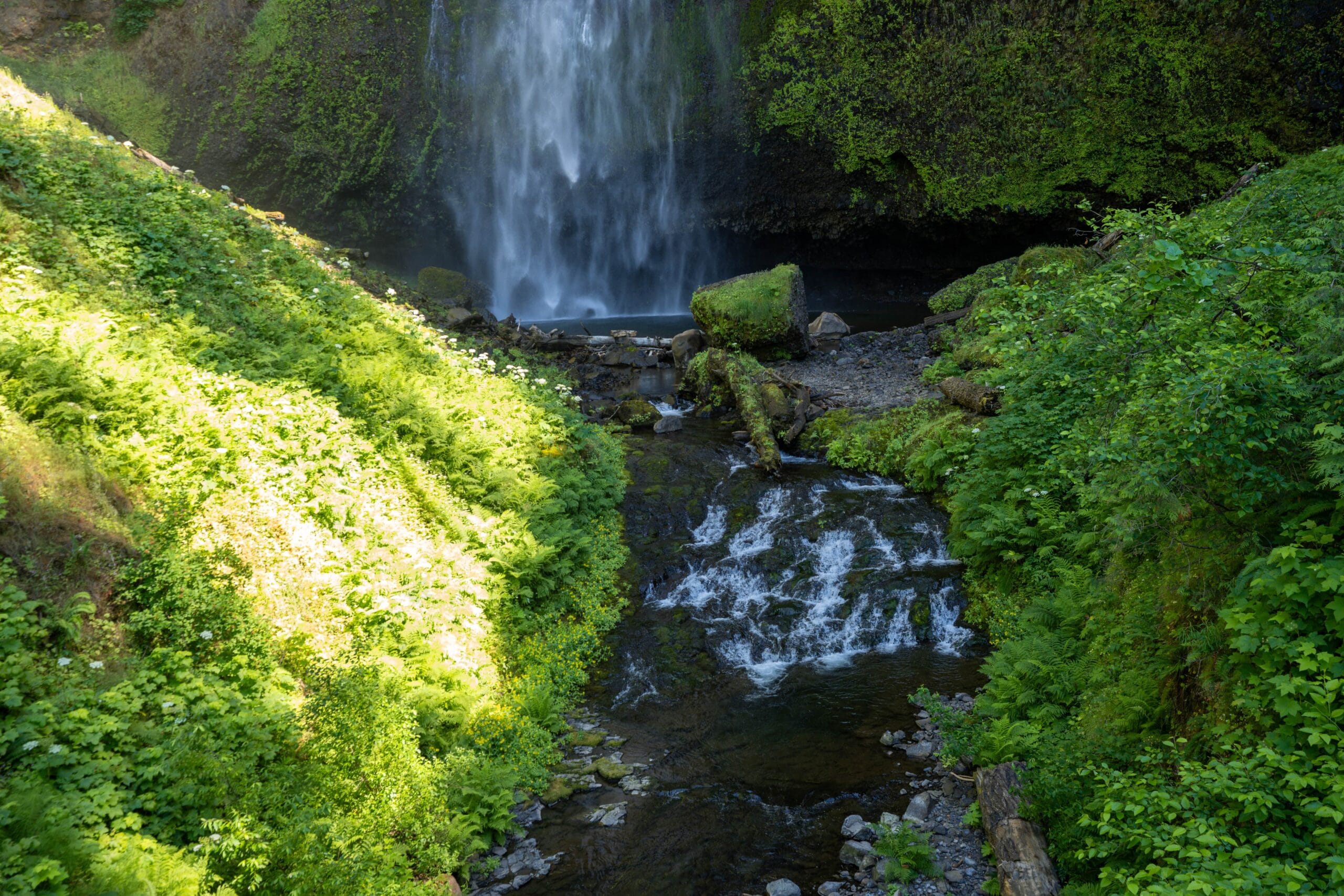 A serene waterfall cascades into a lush, green forest. Sunlight illuminates the vibrant foliage, creating a peaceful and refreshing atmosphere.