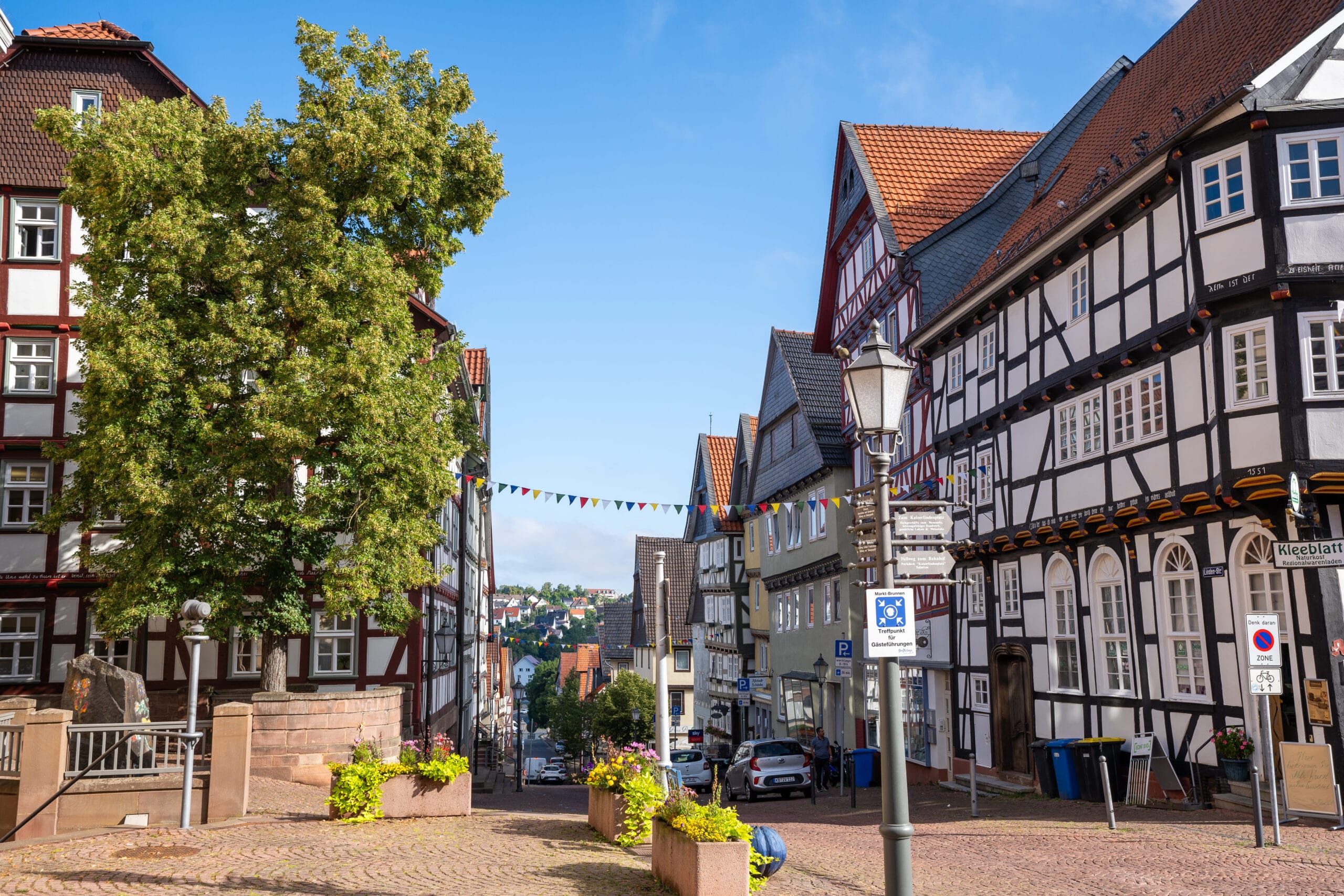 A picturesque street along the fairy tale route in germany with half-timbered buildings, a tree, and colorful bunting under a clear blue sky. The scene feels quaint and charming.