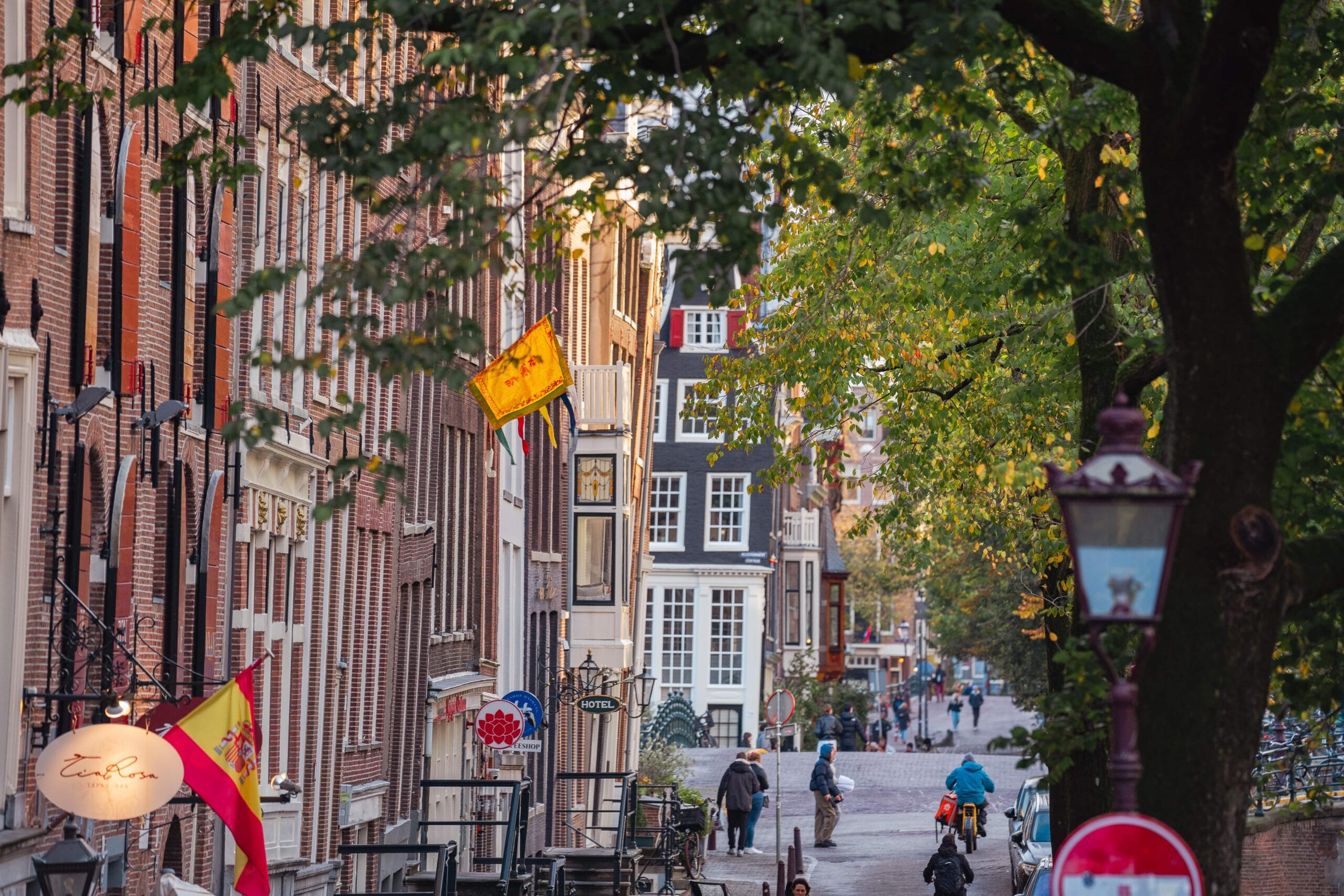 Charming Amsterdam street scene with narrow buildings, colorful signs, and cyclists. Tree-lined sidewalk creates a cozy, bustling atmosphere.