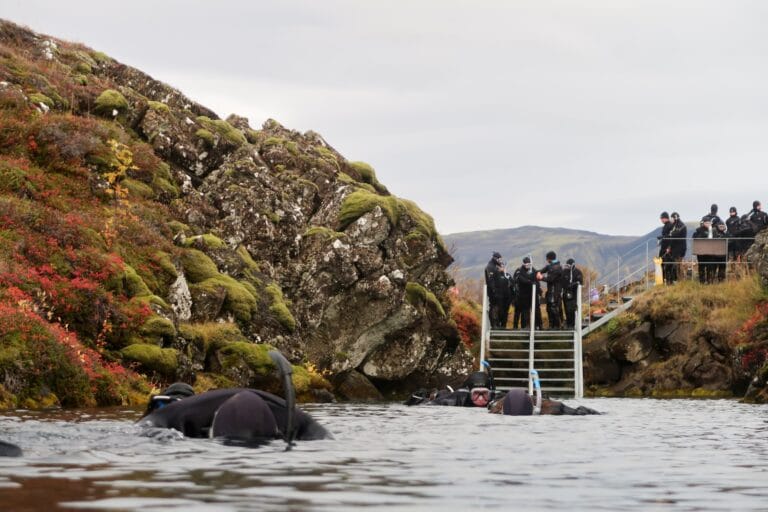 Divers in black wetsuits snorkel in clear water between mossy, rocky cliffs. A group stands on metal stairs, surrounded by autumn foliage, under a cloudy sky. Iceland excursions can't miss.