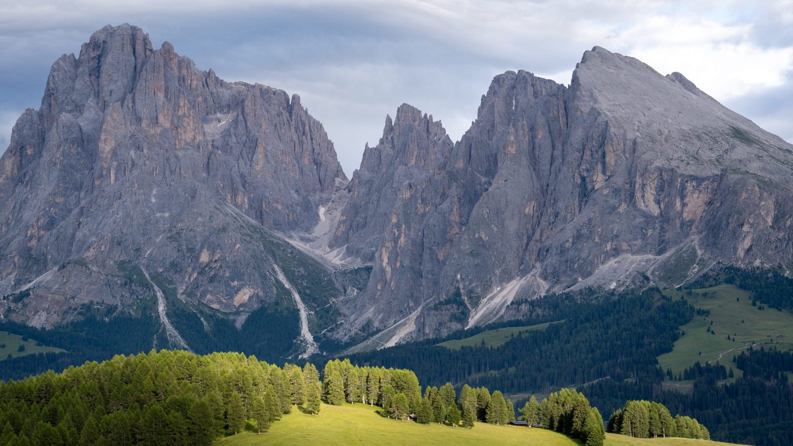 wide meadow panorama with peaks behind, Alpe di Siusi-style