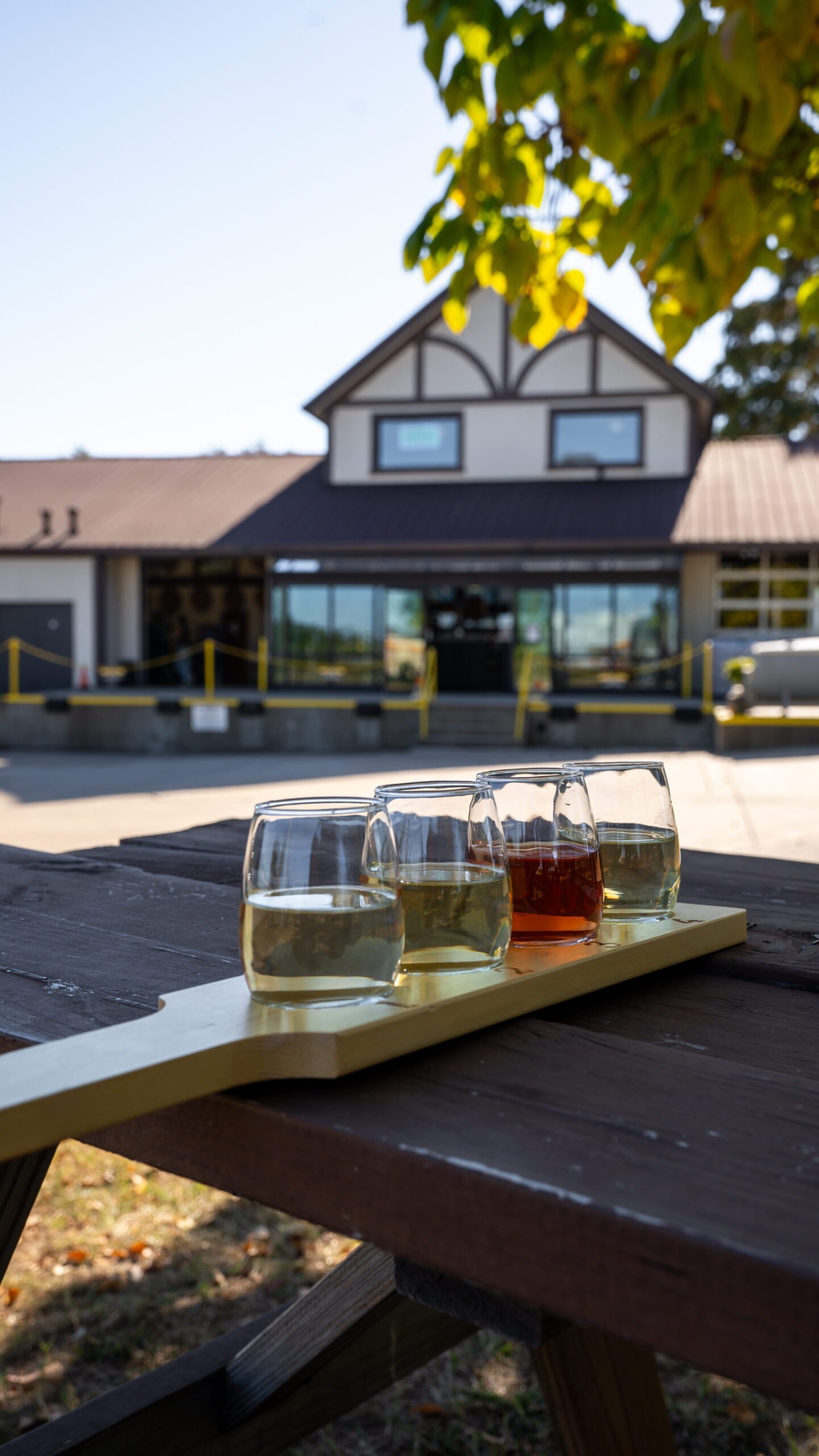 Wine flight on a picnic table in front of the Beachaven Winery tasting room in Clarksville, TN