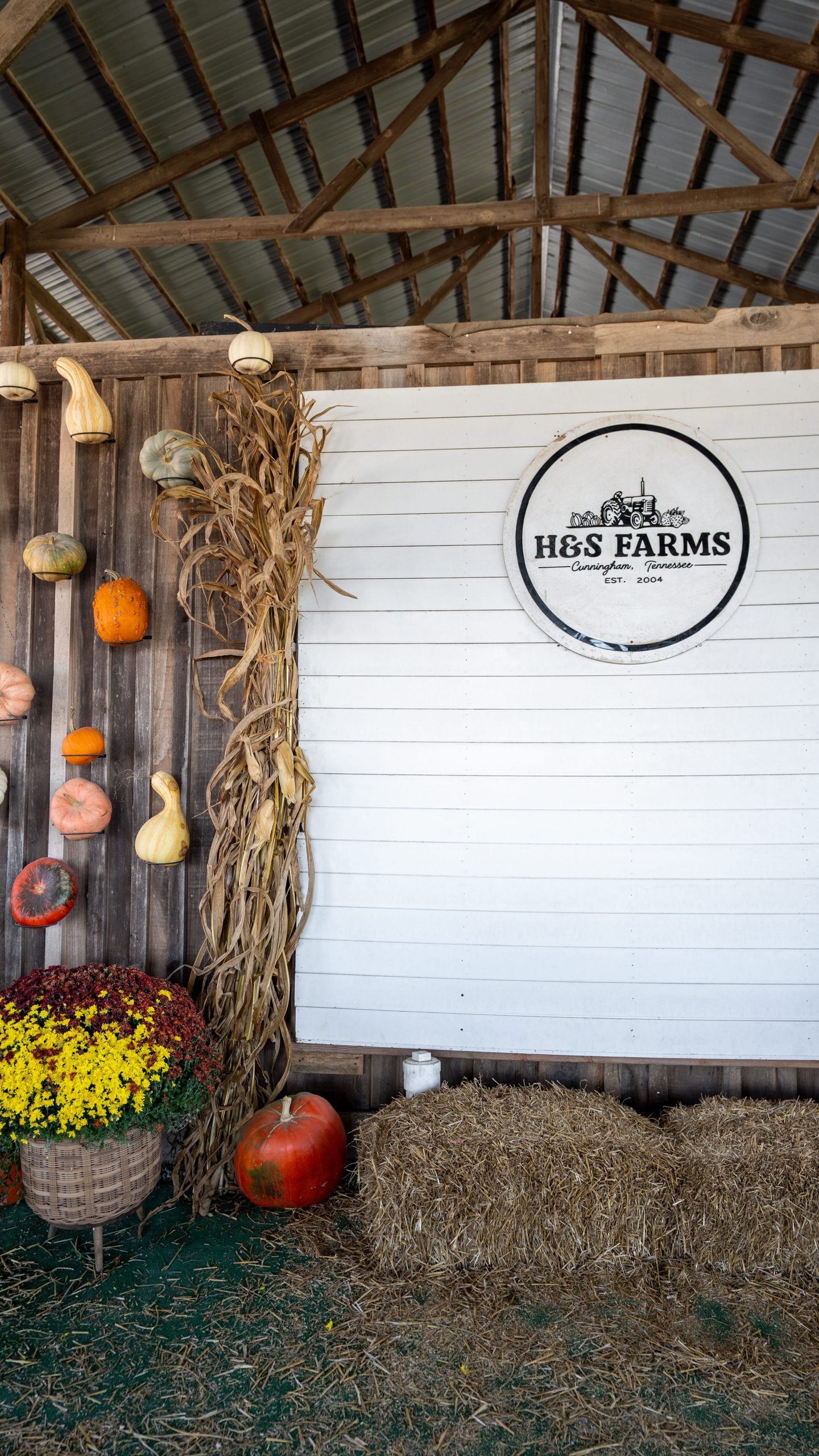 Fall display at H&S Farms in Clarksville, TN with the farm's logo sign, hanging gourds, corn stalks, pumpkins, mums, and hay bales