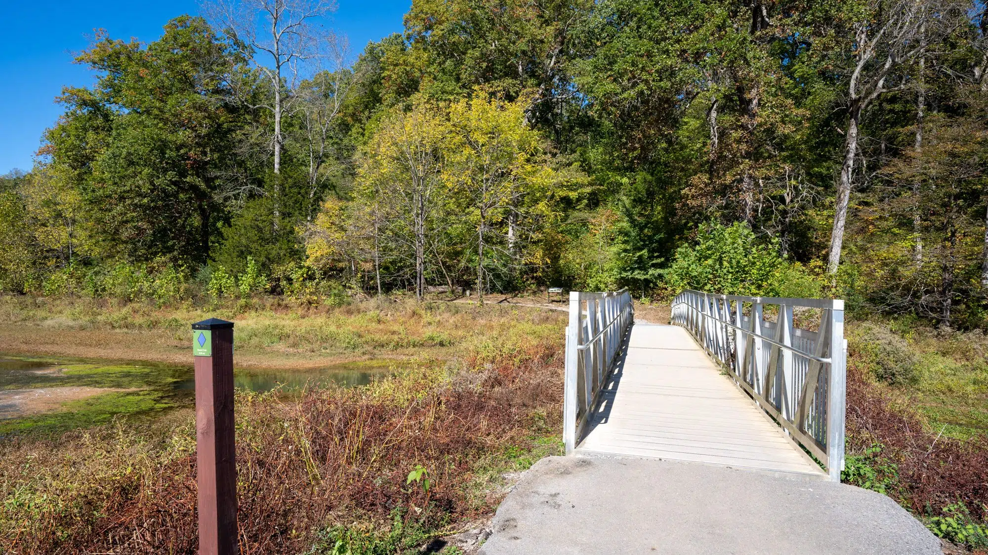 Boardwalk trail through the wetlands at Dunbar Cave State Park in Clarksville, TN