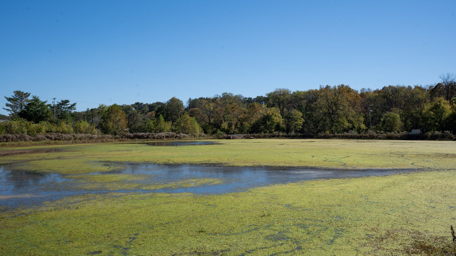 The Perfect Day Trip from Nashville to Clarksville, TN (2026) 3 Swan Lake on a sunny fall day at Dunbar Cave State Park in Clarksville, Tennessee